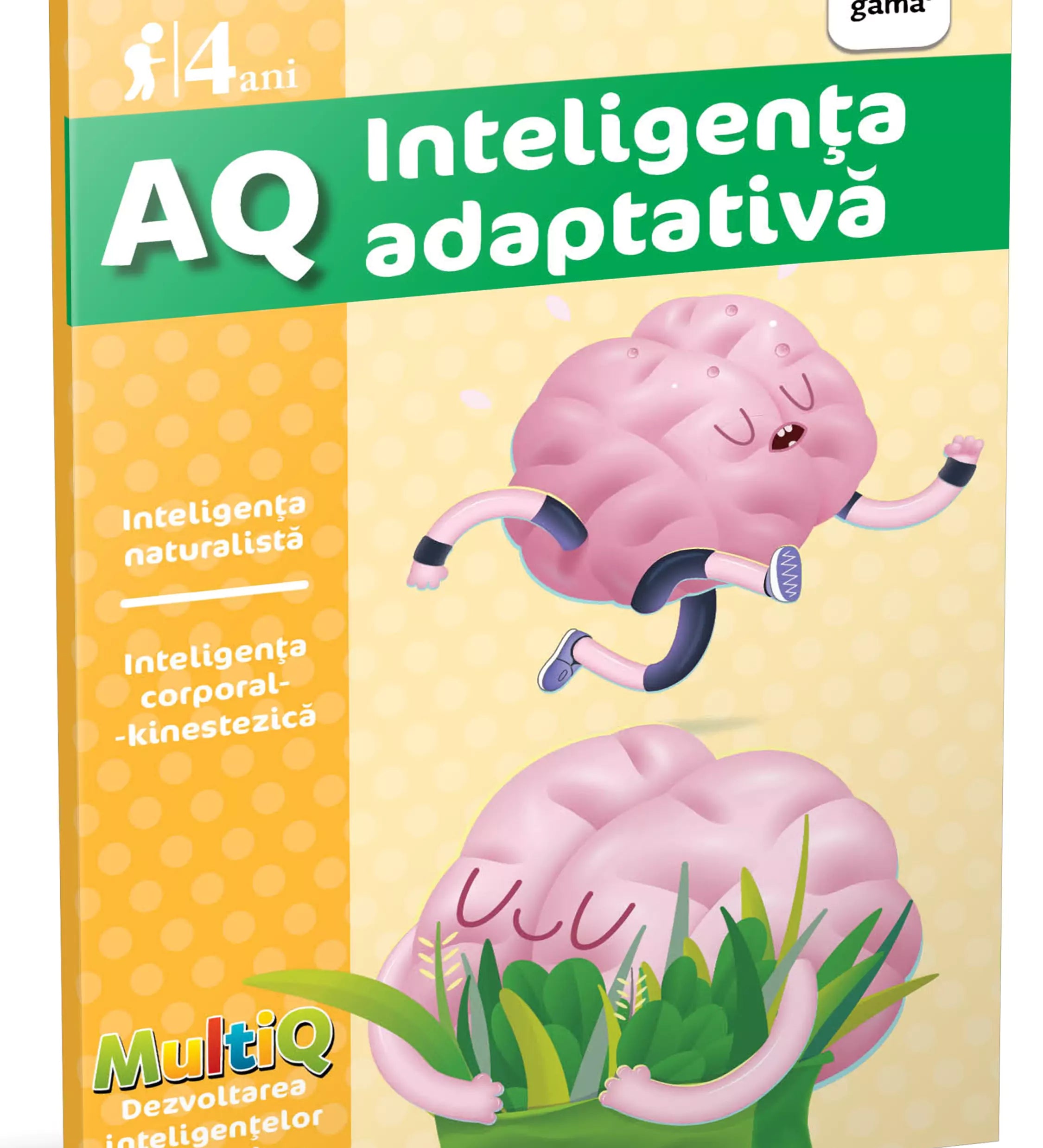 AQ 4 ani- carte cu exerciții pentru dezvoltarea inteligenței adaptative coperta