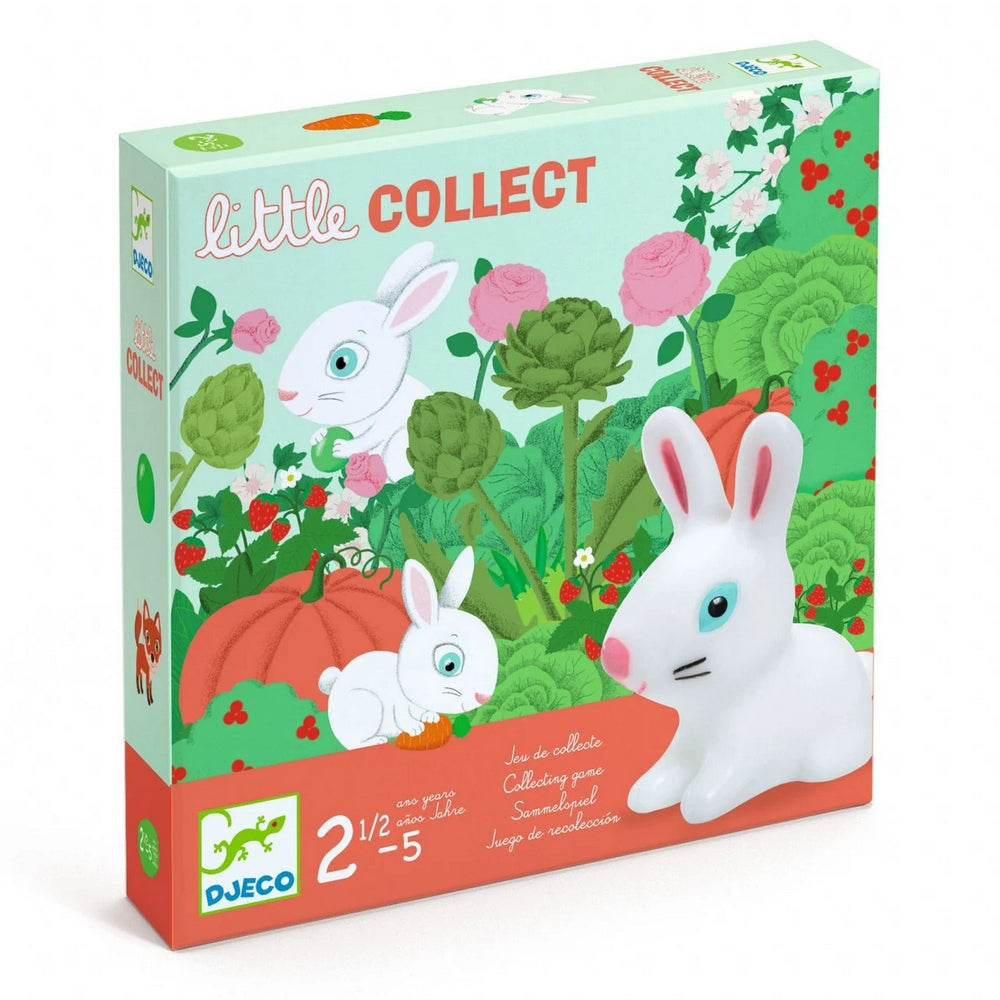 O mică colecție - Little collect Djeco