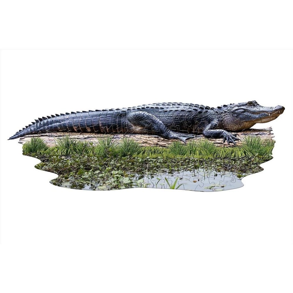 WOW Puzzle junior 100 buc - Aligator