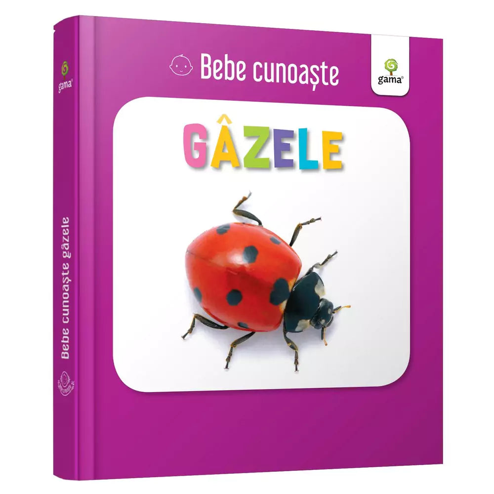 Gâzele - Bebe cunoaște carte cartonata coperta