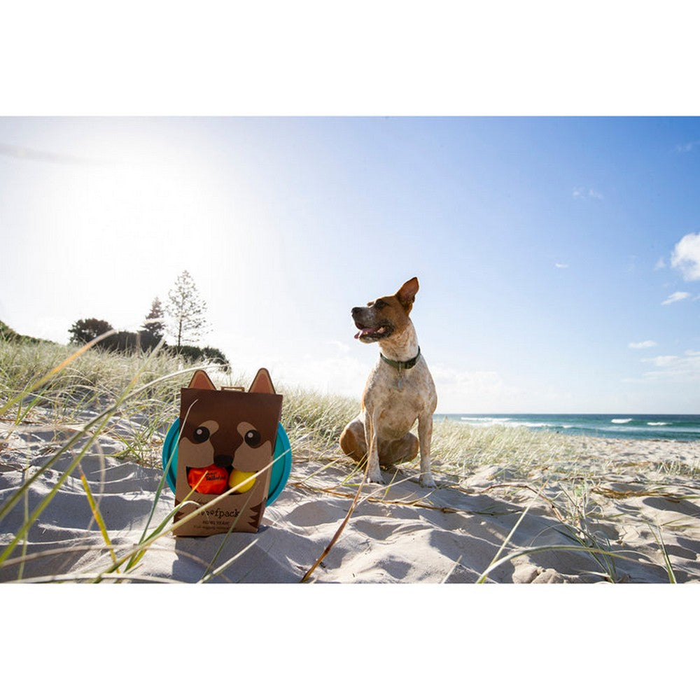 Waboba Woof kutyajáték szett a strandon egy kutya mellett